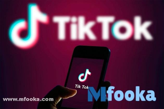 كم عدد المتابعين للربح من التيك توك؟