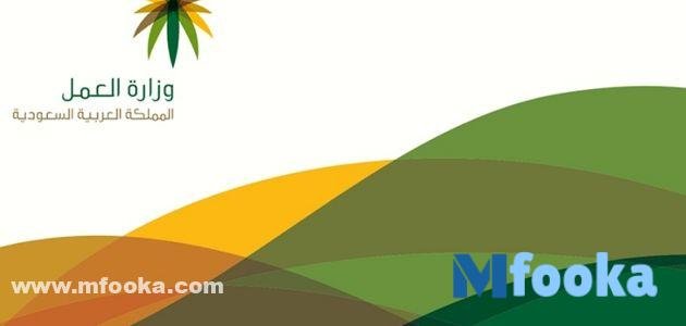 خدمة الاستعلام عن موظف وافد