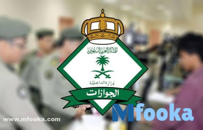 استعلام عن تأشيرة برقم الجواز