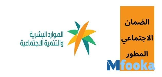 استعلام عن الضمان المطور عن طريق النفاذ الوطني