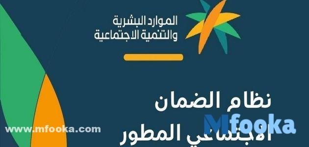 استعلام عن الضمان المطور عن طريق النفاذ الوطني