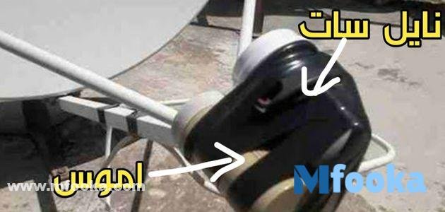 قنوات قمر اموس المفتوحة