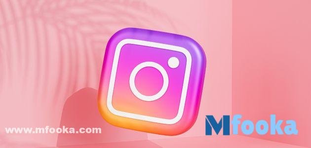 قيود Instagram Lite