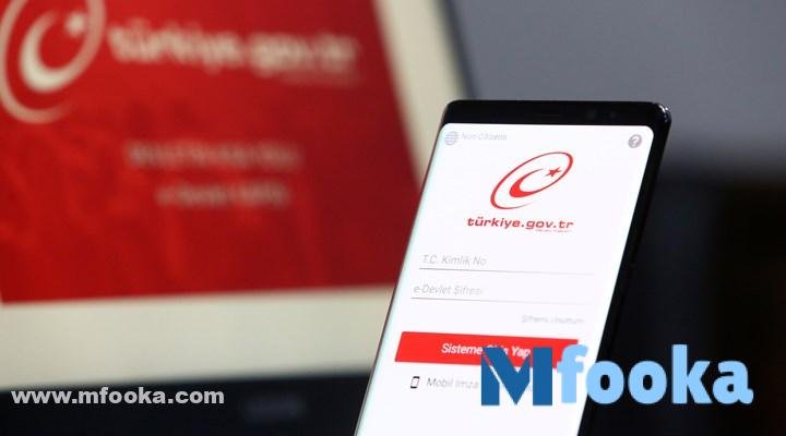 تطبيق e-devlet | رابط اي دولات بالعربي 2024