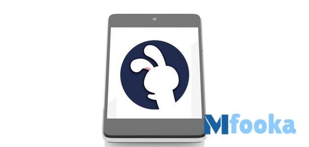 أقسام متجر الارنب الصيني