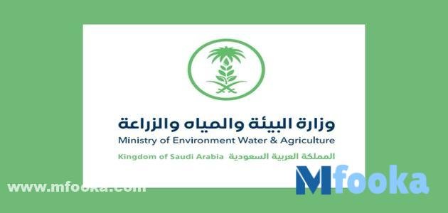 تفعيل البطاقة الصحية