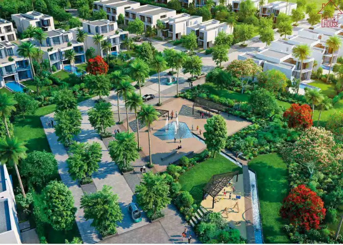 بادية بالم هيلز اكتوبر