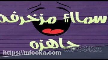 اسماء مزخرفة بالعربي | 2024 أجمل أسماء عربية